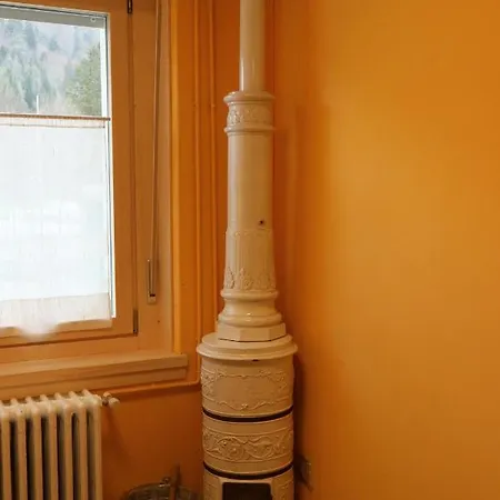 Cave Trieste - Cats * Tarvisio