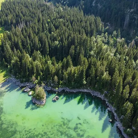 アパート Cave Trieste - Cats タルヴィージオ