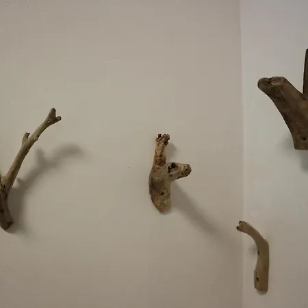 Appartamento Cave Trieste - Cats