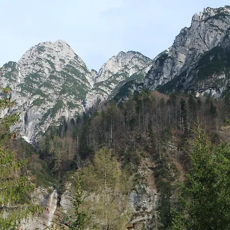 Cave Trieste - Cats *