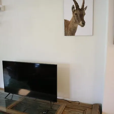 Cave Trieste - Cats アパート タルヴィージオ